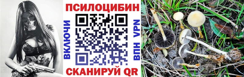 Псилоцибиновые грибы Psilocybine cubensis  Невельск 